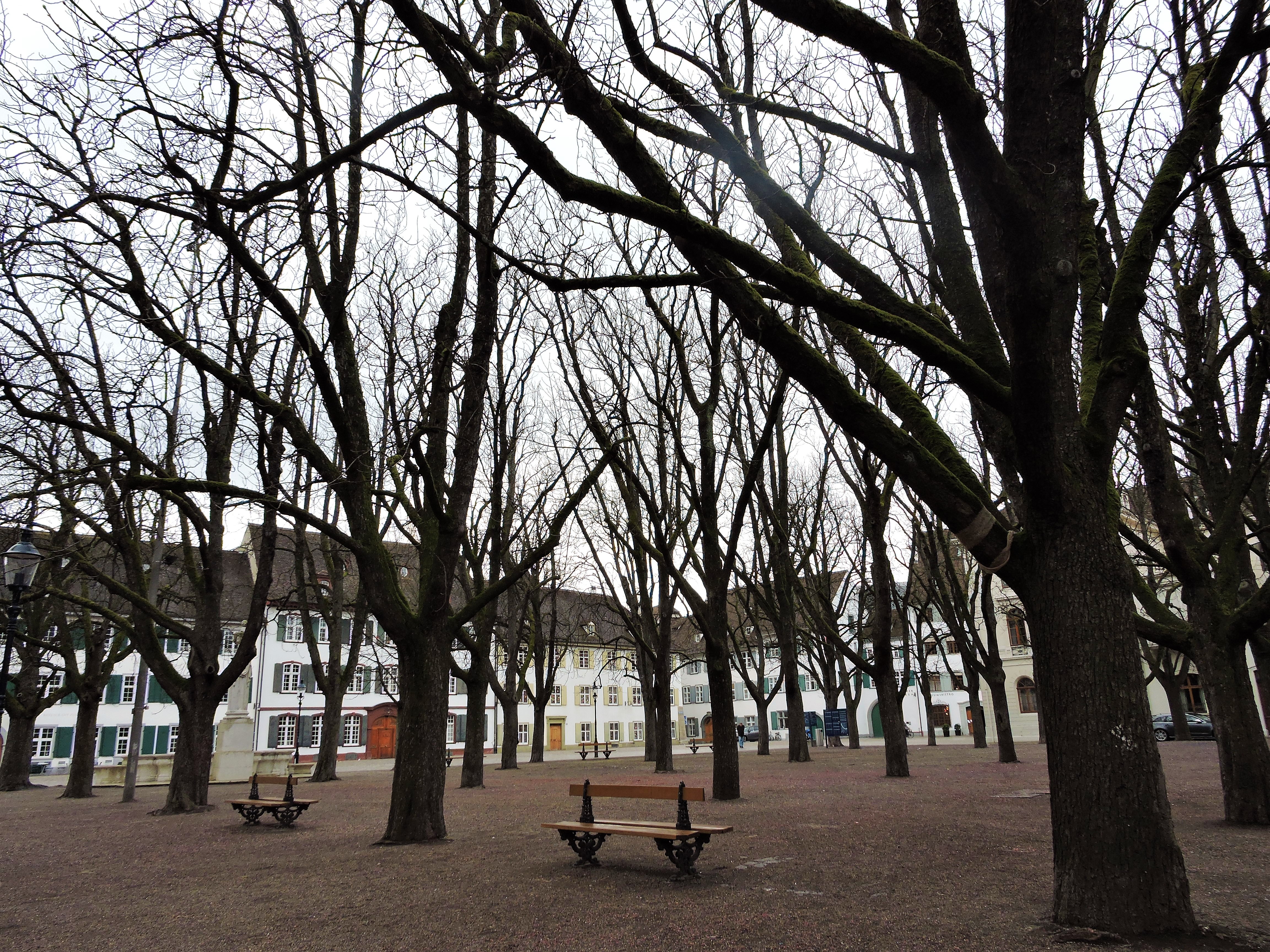 Plaza near the Munster Church Basel